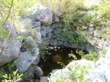 37. izvor